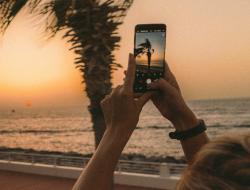 Persona sostiene teléfono para tomar fotografía de palmera y atardecer