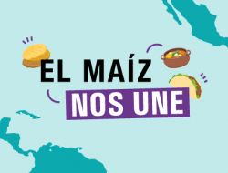 El maíz nos une. Ilustración de taco y arepa sobre mapas de Mesoamérica