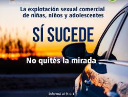 Campaña Sucede Vehículo Imagen del costado de un vehículo sobre un paisaje de atardecer, con texto que nos recuerda que la trata de personas sucede a nuestro alrededor.
