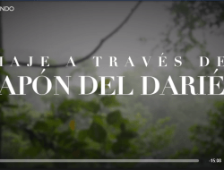 ElTapondelDarien.BBC ElTapondelDarien.BBC
