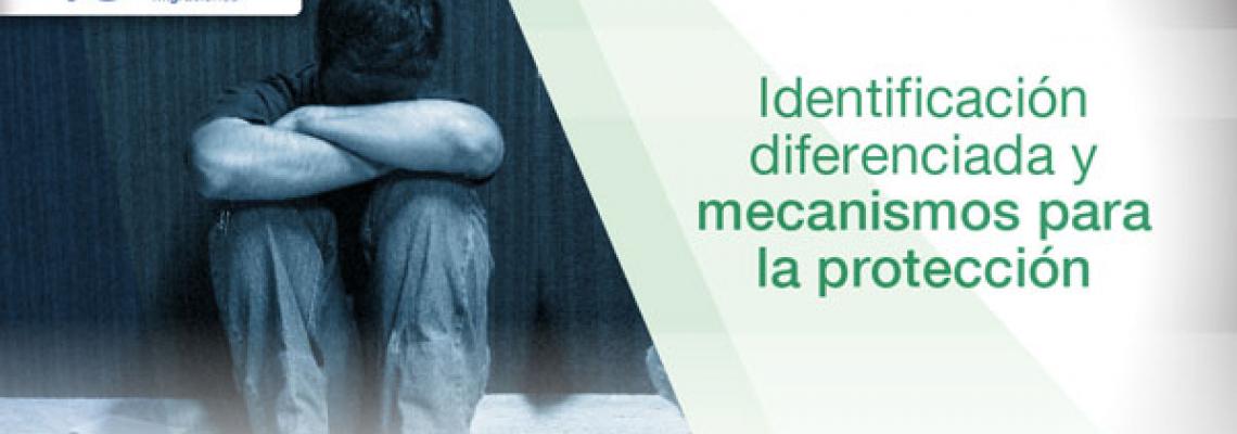 Imagen curso identificación