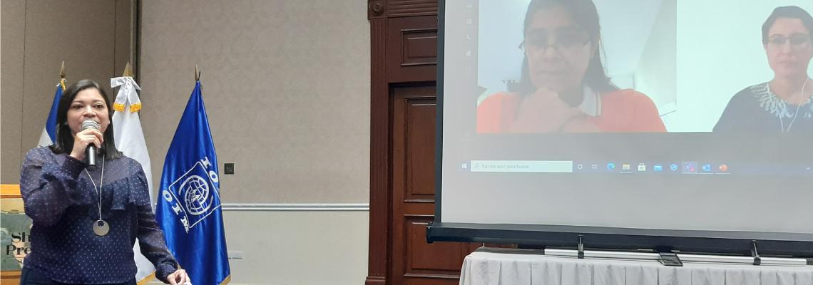 IOM representative conducts one session of the workshop