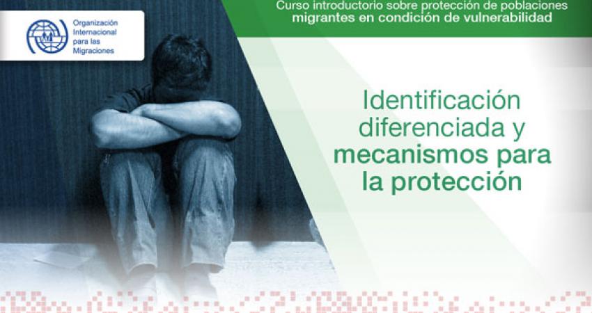 Imagen curso identificación