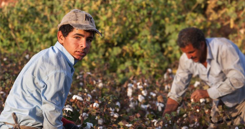 Illustrative image of young man working in the field. Other man works in the background