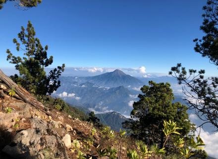 Fotografía de cima de volcán, enmarcado por árboles en primer plano. Cielo azul. 